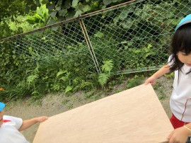 【 ぞう組・くま組 】